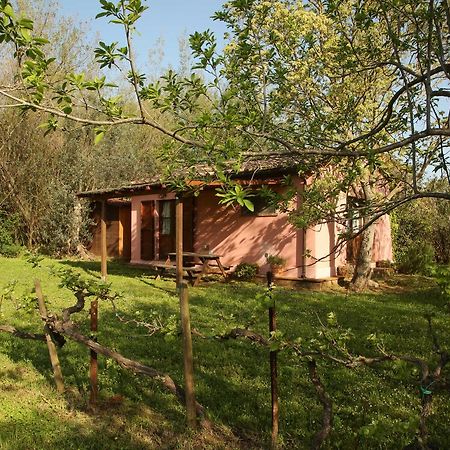 Penzion Casale Vigna Carbona Gavorrano Exteriér fotografie