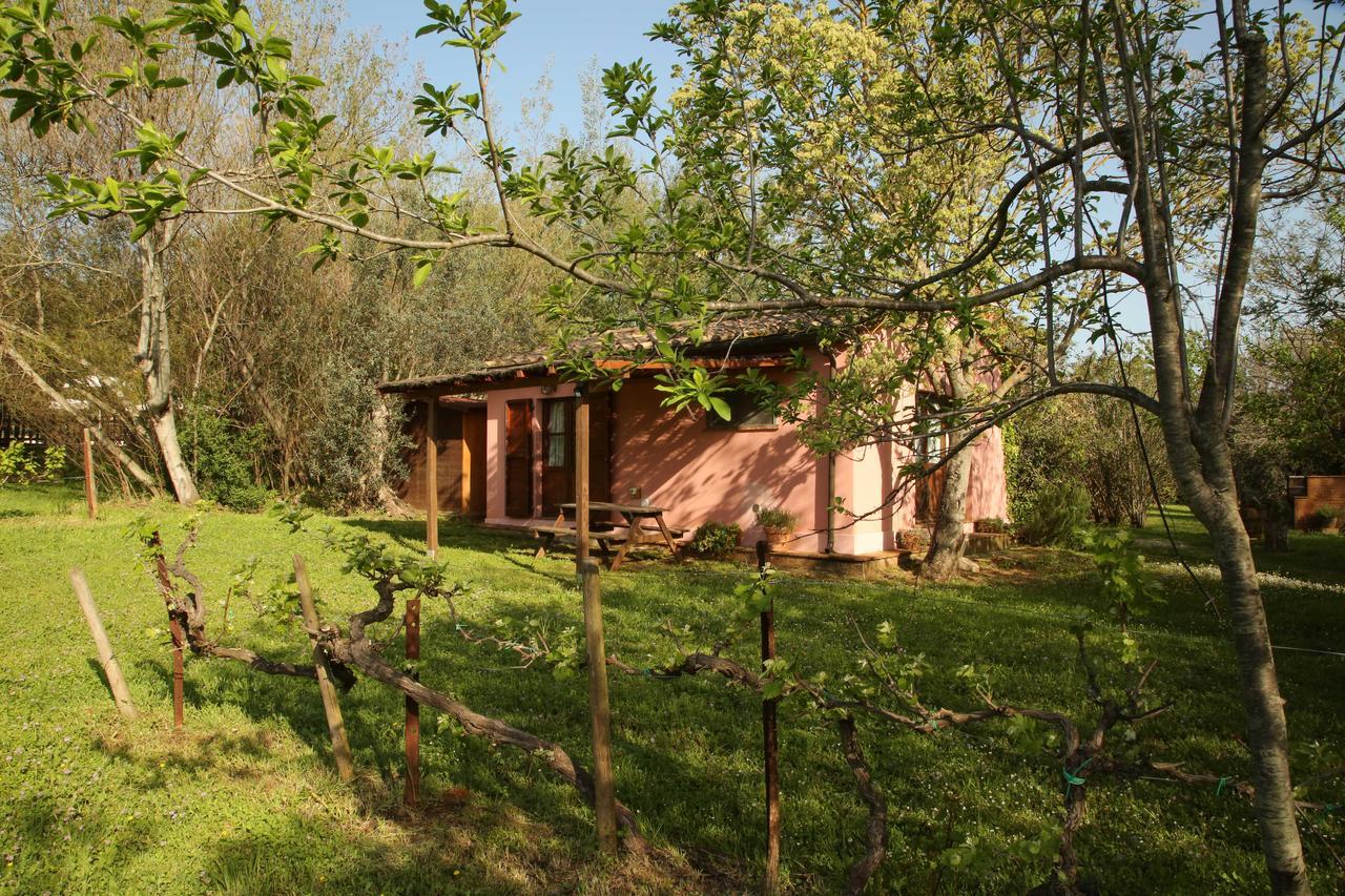 Penzion Casale Vigna Carbona Gavorrano Exteriér fotografie