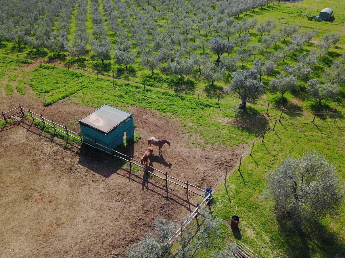 Penzion Casale Vigna Carbona Gavorrano Exteriér fotografie