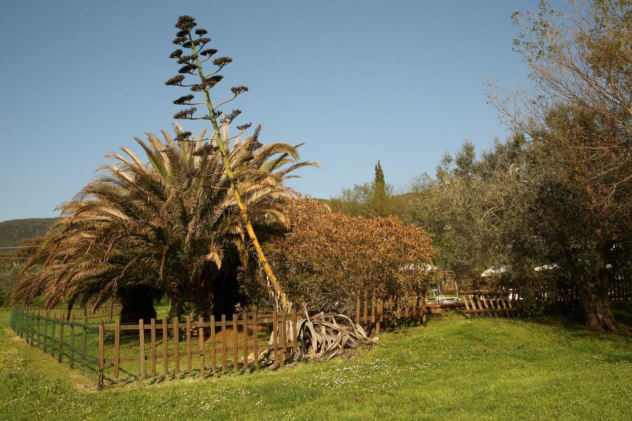 Penzion Casale Vigna Carbona Gavorrano Exteriér fotografie